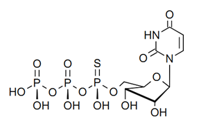 Uridine-5'-O-(1-thiotriphospate),Rp-isomer